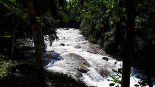 Imagen Río Caoni
